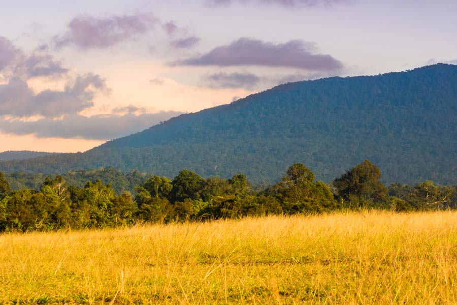 Khao Yai National Park Thailand