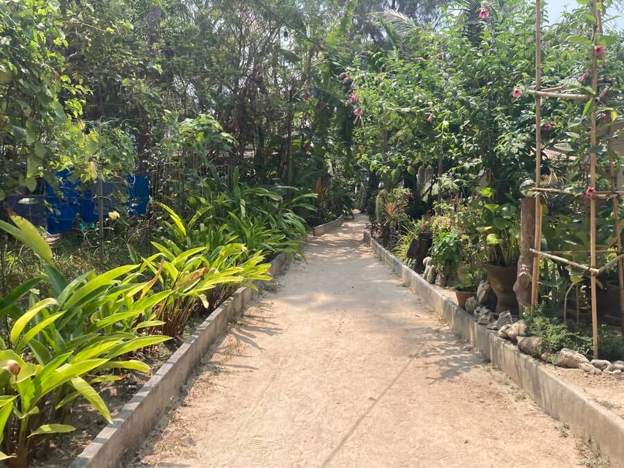 Garden path to secret beach