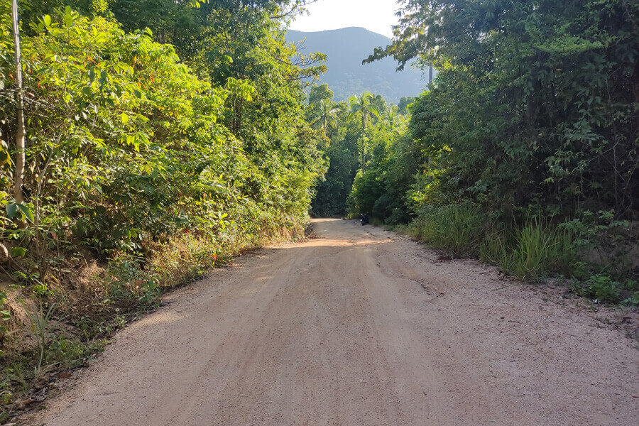 The road to Bottle Beach