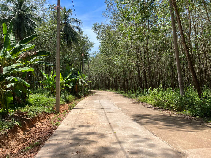 Road in Koh Jum