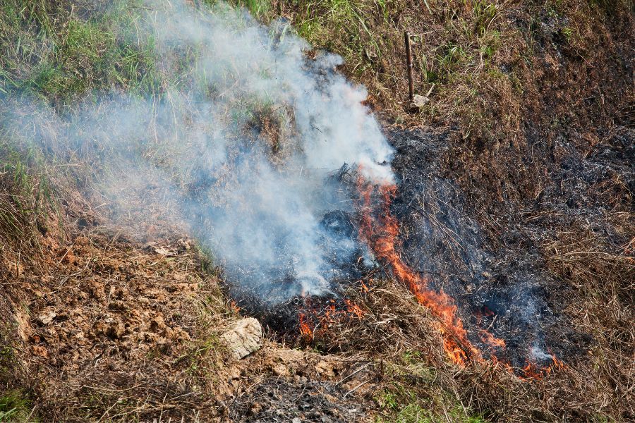 chiang mai burning season