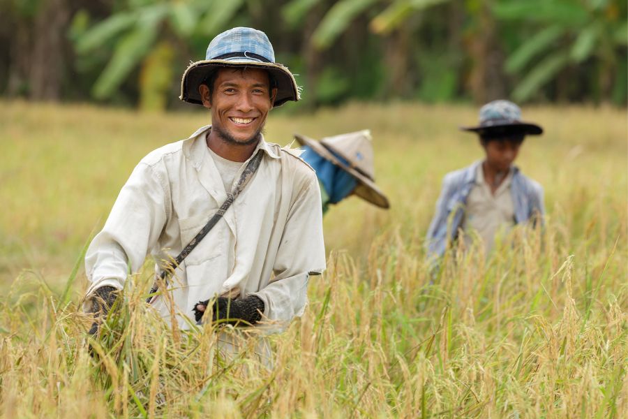 why is Thailand called the land of smiles