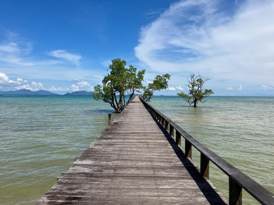 Cinnamon Scenic Boardwalk trees koh mak