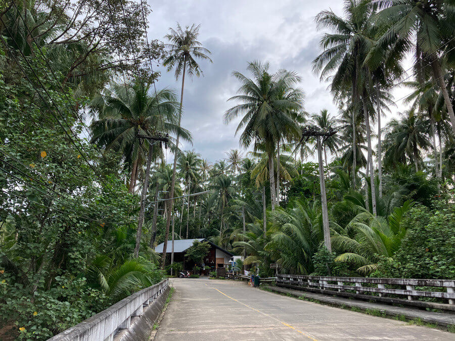 Road in Koh Kood