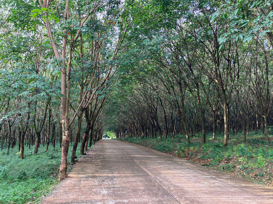 road on koh mak island