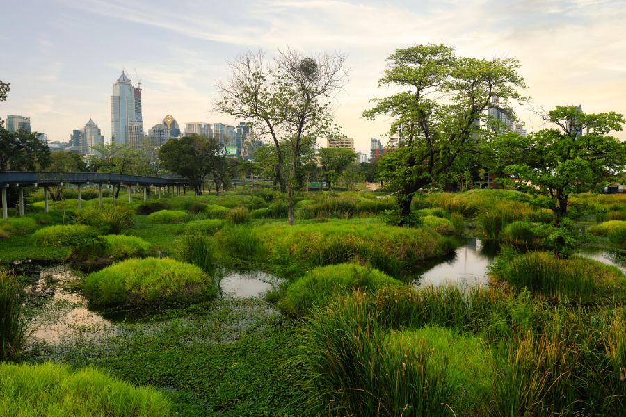 Benchakitti Forest Park, Bangkok