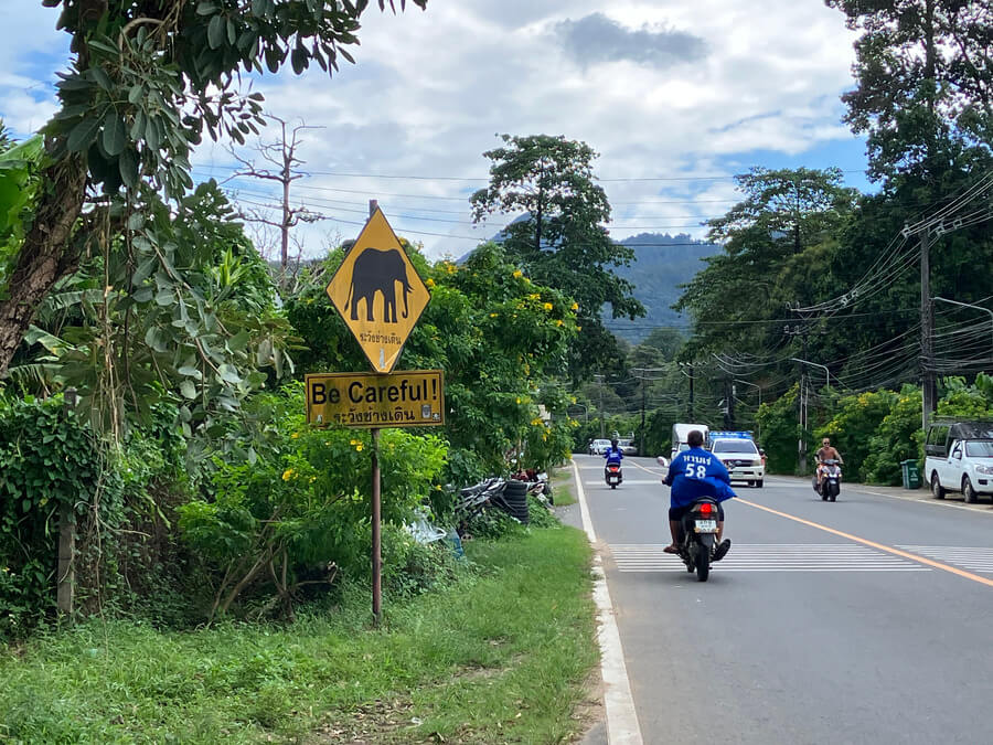 Road in Koh Chang with Elephant Sign