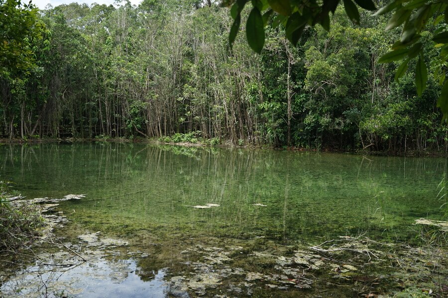 Crystal Pool in Krabi